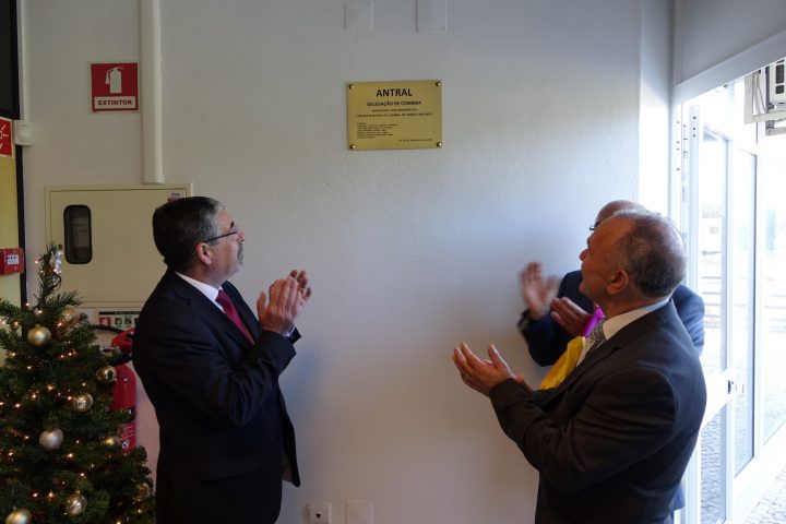 sede antral 68 Custom